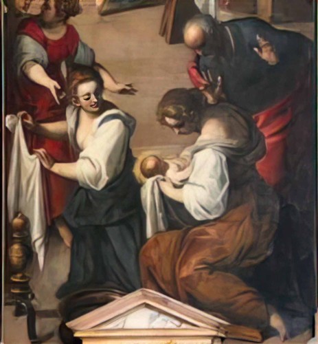 Palma giovane foto - il,